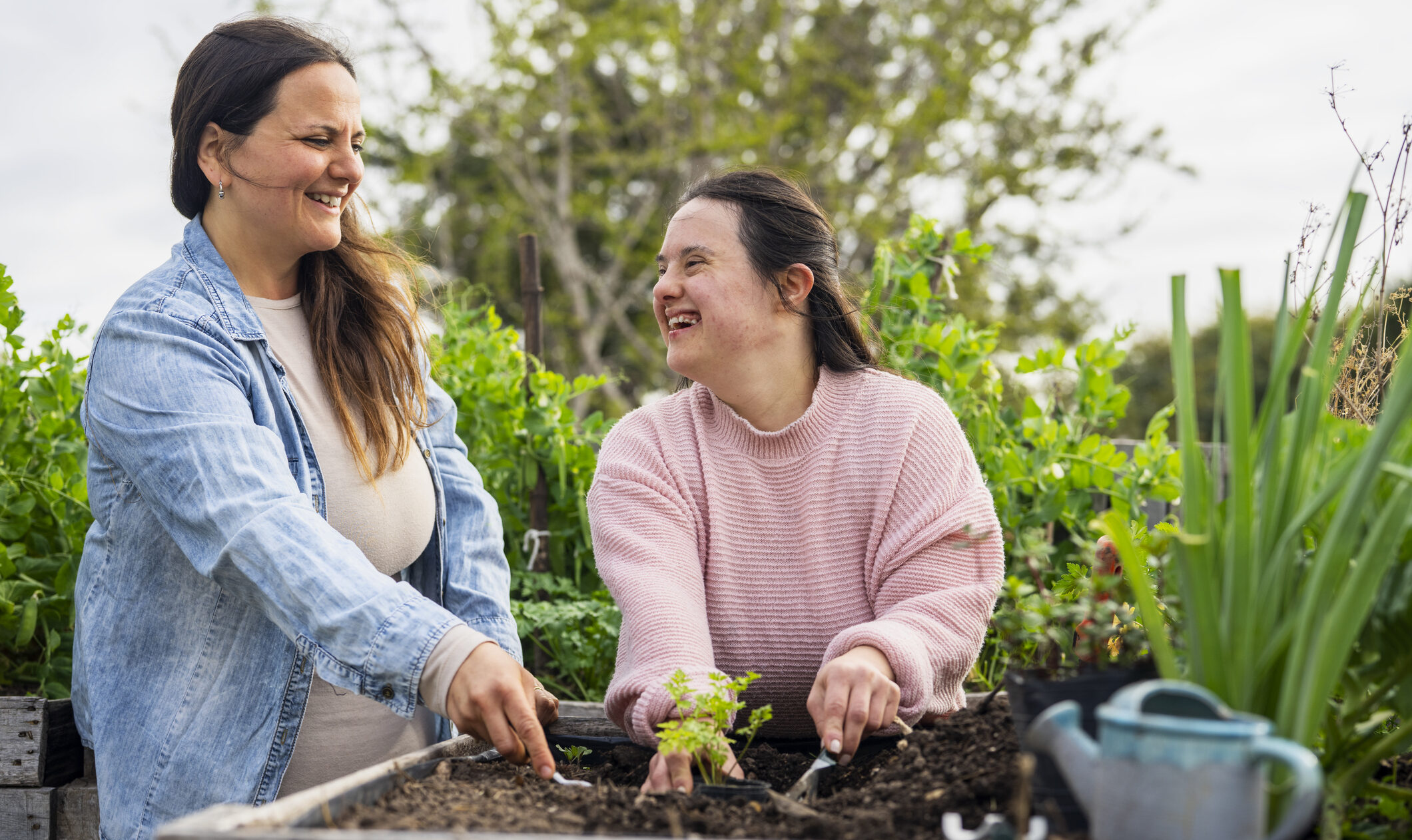 Two women plant seedlings in a raised garden bed. They are looking at each other and laughing.